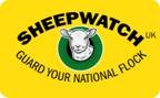 Sheep watch